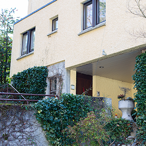 Vor dem Haus